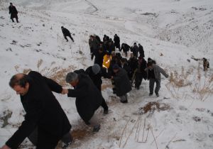 Tendürek eteklerinde feci ölüm